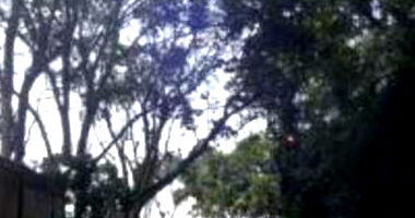 Terreno amplo em Colônia, São Paulo - 1.800 m²