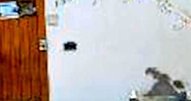 Casa Ocupada com 2 Quartos em Marília/SP