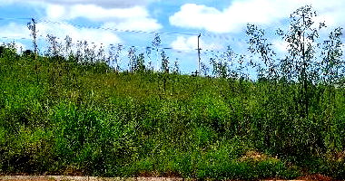 Terreno com 364m² em Barracão, Morro da Fumaça, SC