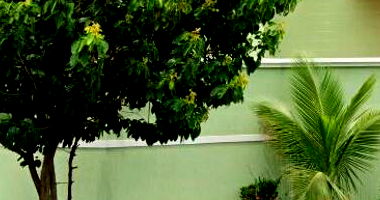 Casa em leilão com 135m² construída em Campo Grande/MS