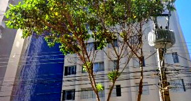 Apartamento Padrão Ocupado com 1 Vaga em Curitiba
