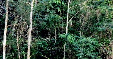 Terreno Urbano com 450m² em Mondaí/SC