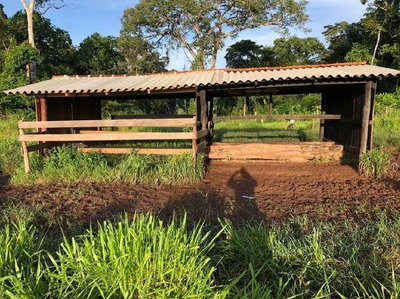 Sítio Rural 51,11ha com pastagem e instalações - Alta Floresta/RO