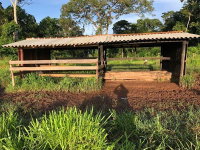 Sítio Rural 51,11ha com pastagem e instalações - Alta Floresta/RO