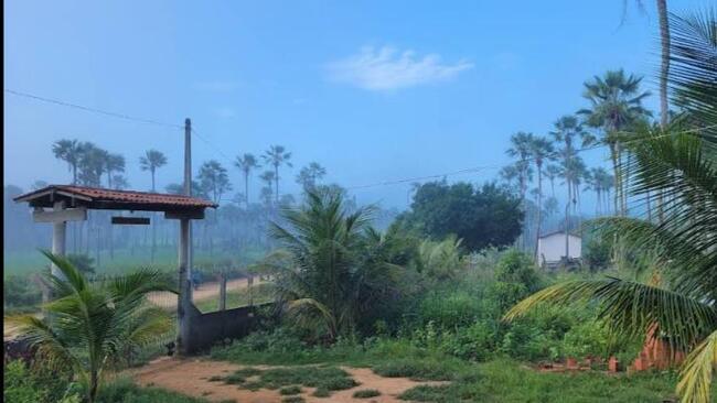 Gleba de Terras com 195.9919ha em Massaranduba/PB