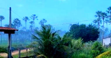 Gleba de Terras com 195.9919ha em Massaranduba/PB