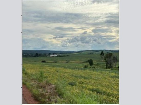 Área Rural de 2.167.264 m² com Matrícula e Documentação