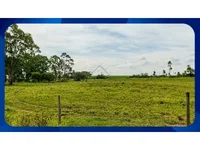 Sítio com Cafezal Produtivo - Caconde/SP
