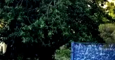 Terreno Amplo em Leilão - Parque São Cristovão