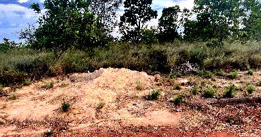 Terreno em Monte Cristo com 250 m² - Oportunidade de Investimento