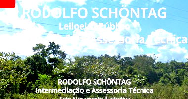 Área Rural de 223 hectares em Sena Madureira - Acre