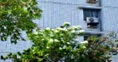 Apartamento com 3 quartos, 2 banheiros e 1 vaga de garagem