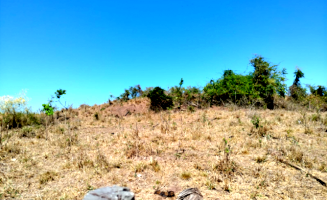 Parte Ideal de Imóvel Rural com 6 Hectares em Pimenta Bueno/RO