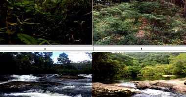 Imóvel Rural com 1.233,50 Hectares em Bananal/SP