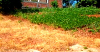 Terreno Urbano Regular 300m² sem Benfeitorias