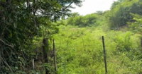 Fazenda Boa Vista, Lote 28, com 32,1176 hectares, ocupada