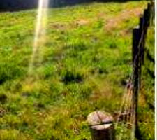 Terreno Urbano Amplo em Erval Seco - RS