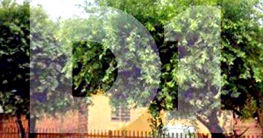 Casa com 39,57m² de área construída em Pedranópolis/SP