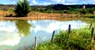 Fazendas com 66,69 ha, ideal para pecuária em Tuntum/MA