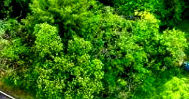 Terreno amplo em Parque Santa Cecília com 1.420m²