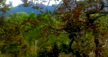 4 Terrenos em Santana do Riacho - Oportunidade Única!