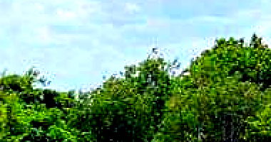 Terreno amplo em Fortaleza com 165.731,08m²