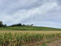 Área rural 10,15 hectares com excelente potencial agrícola