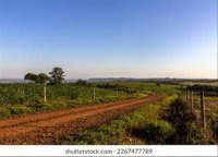 Terreno Rural com 44,81ha em Leoberto Leal - SC