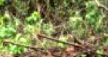 Terreno 140m² no Loteamento Vivari