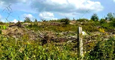 Imóvel Rural com 36,18 ha em Presidente Getúlio, SC