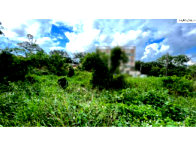 Terreno Plano em Localização Central - 252m²