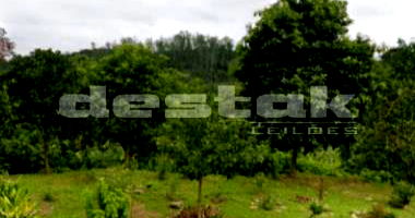 Terreno Comercial em Ribeirão Pires/SP - Oportunidade Única