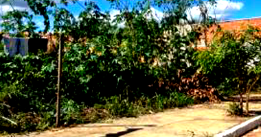 Terreno em Canaã Dos Carajás - PA