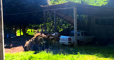 Terreno Rural com 3 hectares em Trindade do Sul RS