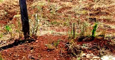 Terreno com 240m² em Rio dos Índios/RS