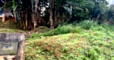 Terreno em Joinville, SC - 59,60m da BR-101