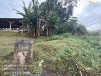 Terreno em Joinville, próximo à BR-101, ideal para investimento