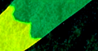 Terreno desocupado com 193.875 m² em Raiz da Serra