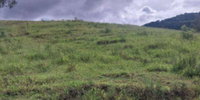 Terreno rural de 48.000 m² em Cristina/MG