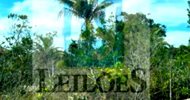 Terreno Urbano em Santa Cruz Cabrália - Gleba 02