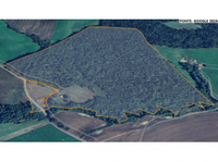 Sítio com 31,36 hectares em Fernandes Pinheiro/PR