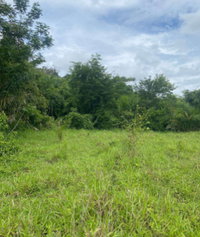 Imóvel Rural em Costa Marques/RO com 16,70h