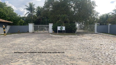 Terreno Rural 74,80 tarefas - Fazenda Alecrim - Feira de Santana/BA