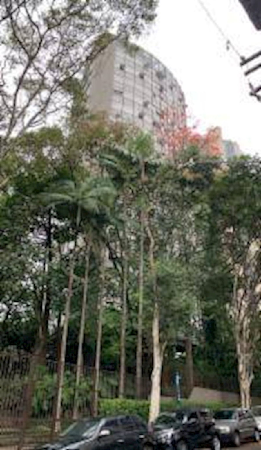 Apartamento no Morumbi com 297,6m², 3 quartos