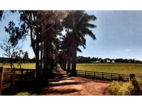 Fazenda Santa Rita - Área Rural com 293,18 hectares
