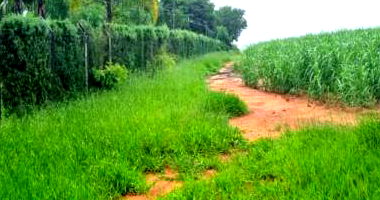 Chácara com 9,12 ha em Boituva