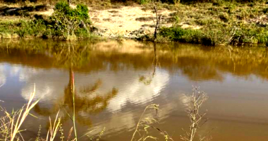 Terreno com 15.000m² em Paranaíta/MT