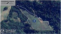 Gleba Rural com Plantação de Macieiras