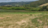 02,39,71 HA de imóvel rural na Fazenda Mata Burros