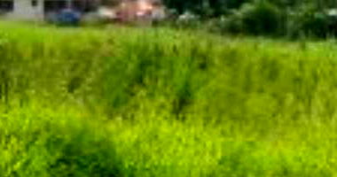 Terreno desocupado com 400m² no Centro, Tupãssi/PR